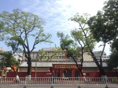 -老妈宫粽球