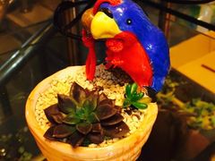 -双季花艺园艺市场(浦东店)