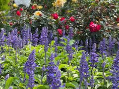 -人民公园(罗湖区)