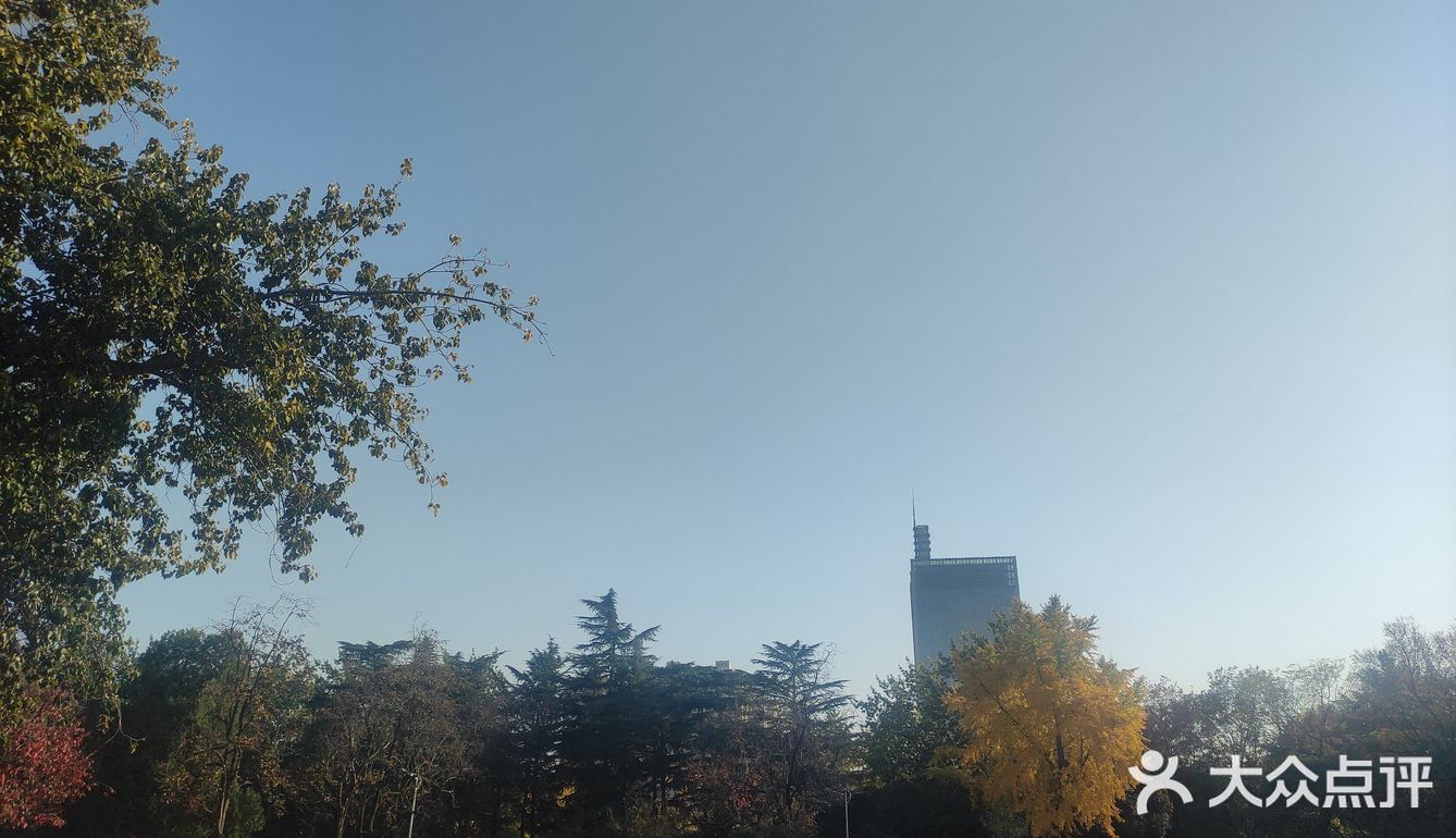 碧沙岗公园