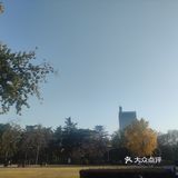 碧沙岗公园