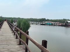 -西青郊野公园