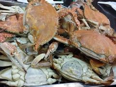 海蟹-胶东海鲜大排档(北太平庄店)