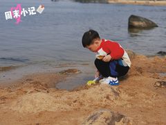 -瑶湖郊野森林公园