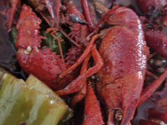 -京悦南门涮羊肉·羊蝎子火锅(田林路店)
