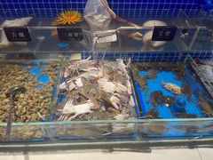 -加餐海鲜自助餐厅(福清万达店)
