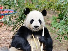 -红山森林动物园