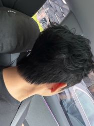 -天使之手
