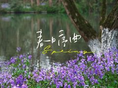 -茅家埠