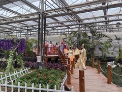 -南和农业嘉年华