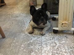 -小时光咖啡馆(北锣鼓巷店)