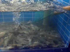 -0048鲜活香辣虾·火锅(铜陵路店)