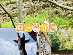 -贵州森林野生动物园