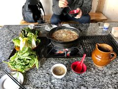 -蘑统田下·野生菌火锅