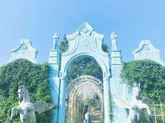-大塘金香草谷