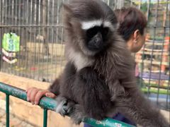 -保定市动物园