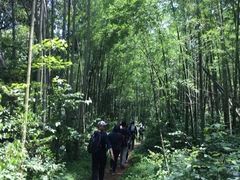 -西湖风景区十里琅珰-五云山