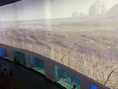 -上海长江河口科技馆