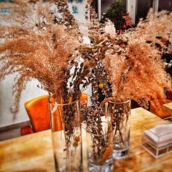 -净漪造型 PURE RIPPLE