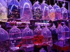 -华声天桥民俗文化园