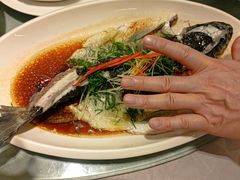 -鹭园酒家·四十年老字号