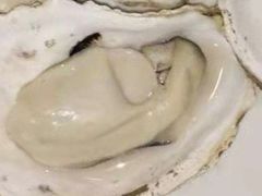 -千岛蚝高压锅生蚝·人参火锅(白云万达店)