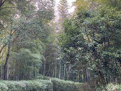 -天目湖涵田度假村