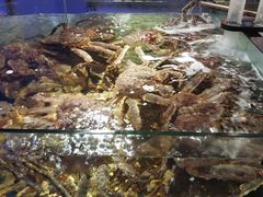 -蟹之国·精品蟹料理(极地店)