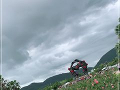 -亚龙湾国际玫瑰谷