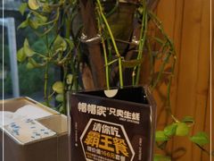 -帽帽家只卖生蚝·烧烤(沙湖路店)
