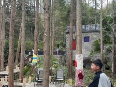 -东明山森林公园