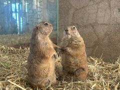 -海合安武汉极地海洋公园