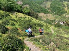 -东白山