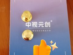 -中央广播电视总台(光华路办公区)