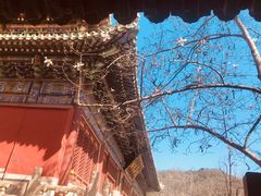 -潭柘寺景区
