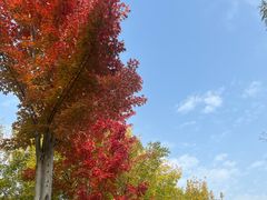 -回龙观体育文化公园