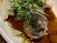 -道口古镇张存有烧鸡酒楼