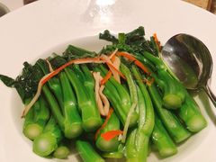 山泉水浸菜心-陶陶居酒家(SM二期购物广场店)