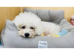 -美联众合动物医院·24h京西诊疗中心