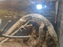 -石家庄市动物园