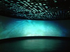 iphone_upload_pic-同济大学四平路校区深海探索馆