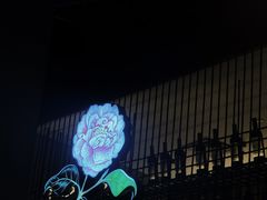 -锅说大脸毛肚重庆老火锅(佐阾店)