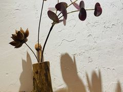 -一杯海(国际海水浴场店)