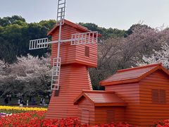 -苏州上方山国家森林公园