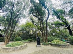 -上海佘山国家森林公园天马山园