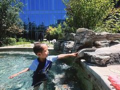 -中家鑫园温泉酒店鑫悦汤泉