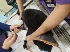 -萌兽医馆·犬猫专科·眼科中心·宠物医院(朝阳门分院)