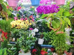 -三旗百汇商品城