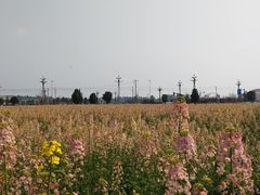 -中国天府农业博览园