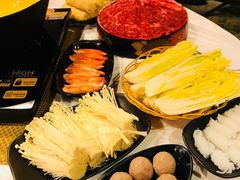 -鲜入围煮花胶鸡海鲜火锅